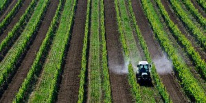 La France toujours incapable de réduire son utilisation de pesticides