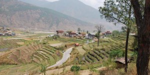 Au Bhoutan, le bonheur est dans le bio