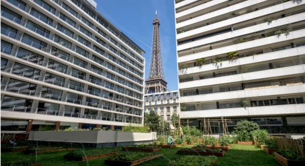 Cette brasserie fait pousser ses fruits et légumes 100% bio au pied de la Tour Eiffel