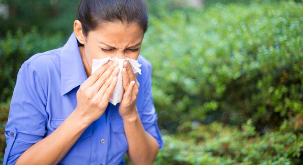 Des remèdes naturels pour lutter contre les allergies printanières