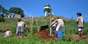 Le Salvador bannit le Roundup de Monsanto et connaît des récoltes records