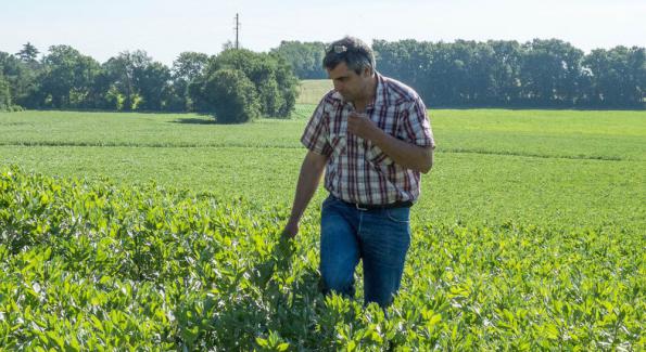 'En cultivant en bio, j'ai redécouvert mon métier', interview d'un agriculteur bio à grande échelle