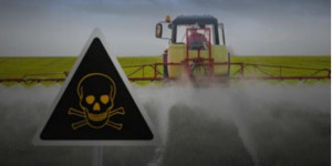 L'Europe va-t-elle finalement interdire le Roundup de Monsanto ?
