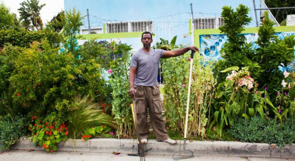 Aux États-Unis, un gangster-jardinier plante illégalement des légumes bio pour manger local