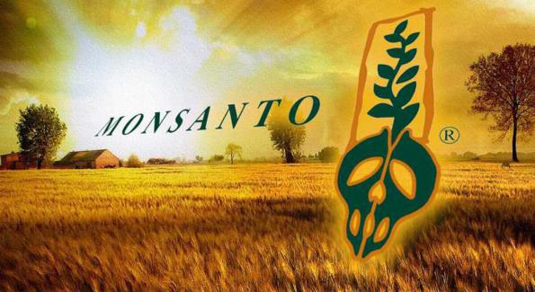Baisse des ventes d’OGM et de Roundup : Monsanto va supprimer 2.600 emplois