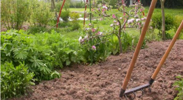 La grelinette : outil miracle et multifonction du jardinier bio