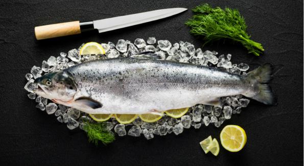 Le saumon transgénique obtient l'autorisation d'être commercialisé