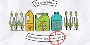 Pourquoi et comment réduire les pesticides ?