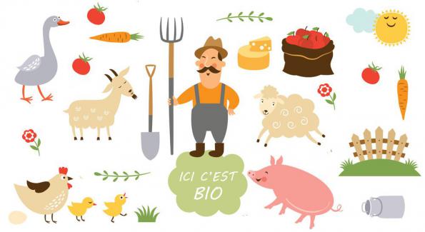 Les agriculteurs français se convertissent massivement au bio