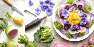 12 fleurs comestibles pour des recettes colorées et gustatives