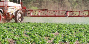 L’utilisation des pesticides toujours en hausse en France