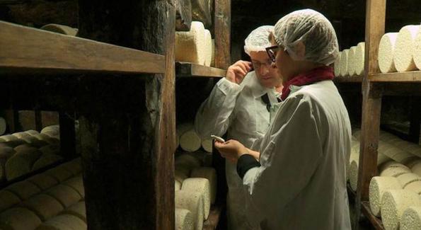 Fromage : le nombre de crèmerie traditionnelle augmente en France