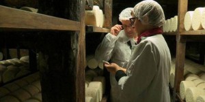 Fromage : le nombre de crèmerie traditionnelle augmente en France