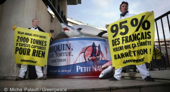 Pêche destructrice: Greenpeace s'attaque à Petit Navire