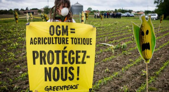 Greenpeace accusé de crime contre l’humanité par 108 prix Nobel