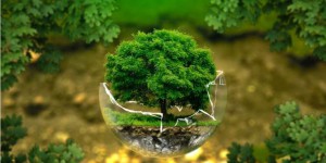 Ressources naturelles: la planète vit désormais à crédit