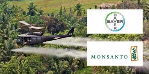 Un monstre est né : Bayer achète Monsanto pour 59 milliards d’euros