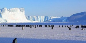 Antarctique : le plus grand sanctuaire marin au monde va être créé