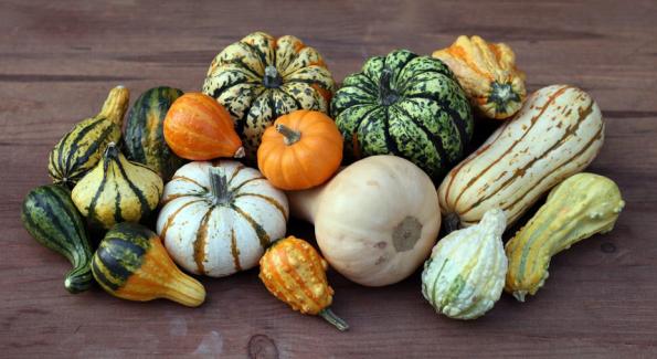 Légumes d'automne : comment cuisiner les cucurbitacées ? 