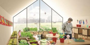 En Angleterre, une école va apprendre à ses élèves faire pousser ses propres légumes
