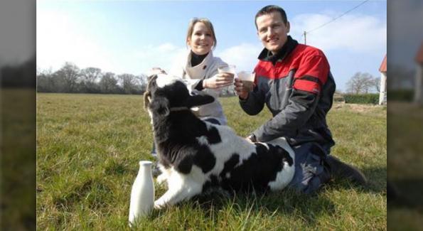 Face à la crise du lait, ce couple de producteurs livre son lait cru à domicile