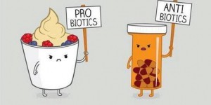 Flore intestinale : comment les probiotiques protègent notre intestin