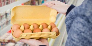 Les œufs bio de supermarché sont-ils vraiment bio ?