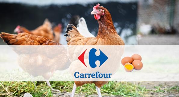 Les supermarchés Carrefour ne vendront plus d'oeufs de poules élevées en cage