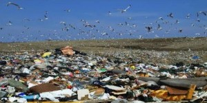 Le recyclage du plastique reste faible en Europe