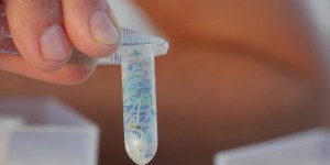 Boyan Slat ne nettoiera pas les micro-fragments de plastique