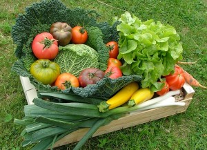 Manger bio, local, de saison et solidaire, c’est l’idéal
