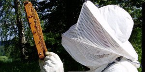 L’UNAF vole au secours des apiculteurs sinistrés