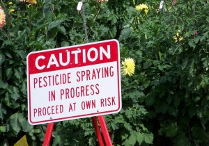 L’AMM des pesticides désormais aux mains de l’Anses