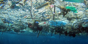 Polytalk 2016 : objectif zéro plastique dans les océans