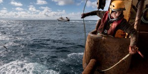 MSC, 20 ans au service d’une pêche durable