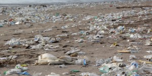 L’Europe, en guerre contre le plastique à usage unique
