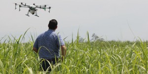 Agroécologie paysanne ou numérique : quelle agriculture pour demain?