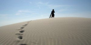 Les dunes, ces écosystèmes de sable menacés en Méditerranée