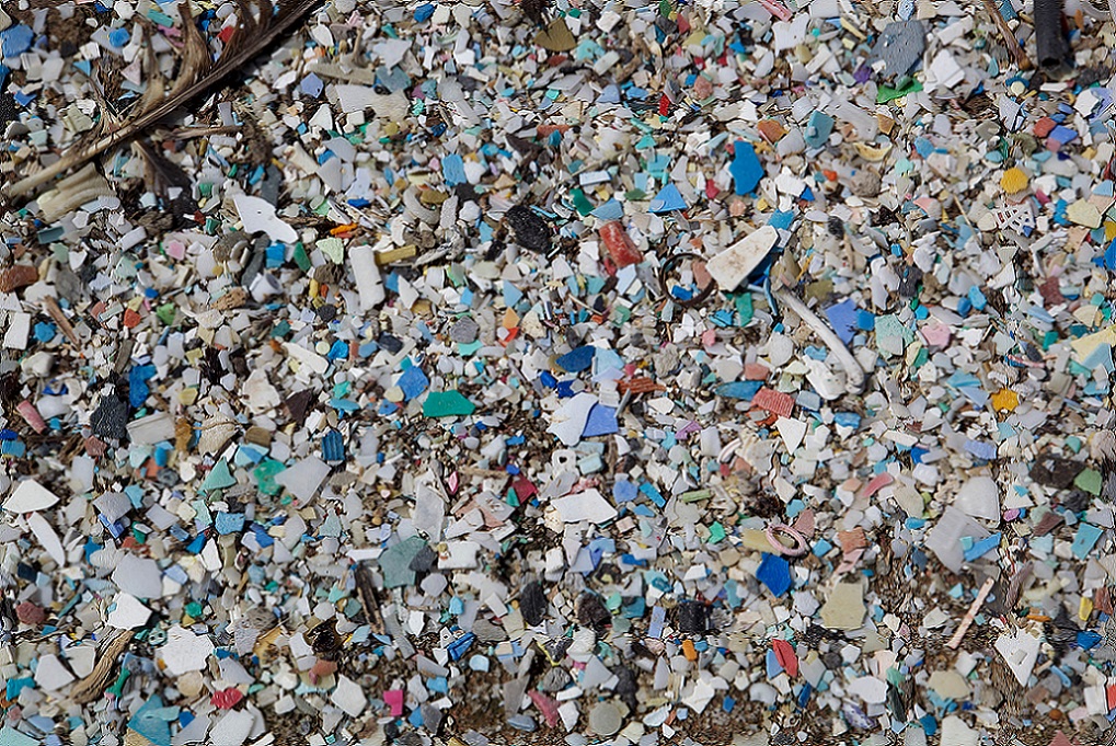 Pollution des océans par les déchets plastiques: des solutions connues à déployer