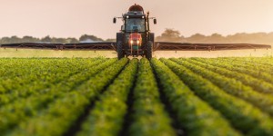Pesticides: l’échec du plan Ecophyto du fait d’une « poignée d’exploitations »