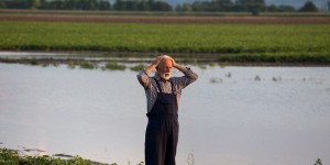 La FAO s’alarme de systèmes alimentaires “en péril”