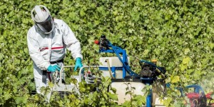 Générations Futures dévoile la carte d’achat des pesticides en France