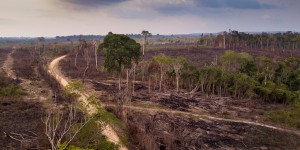 La forêt amazonienne brésilienne atteint un point de bascule climatique
