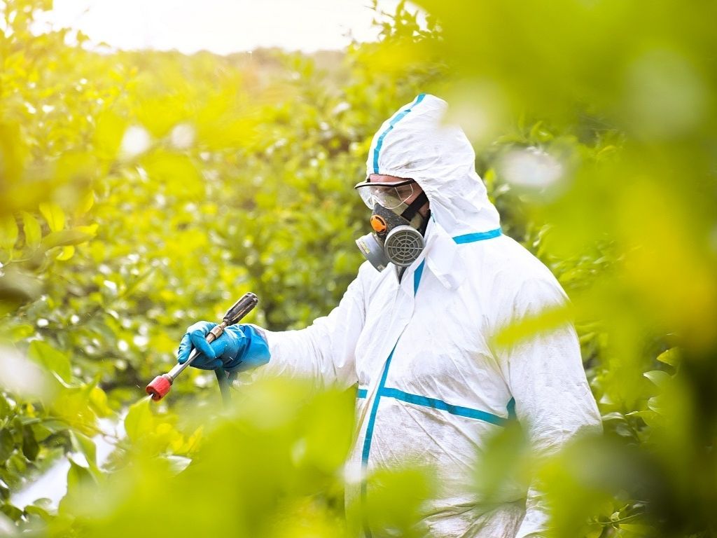 Pesticides : des ONG veulent faire la lumière sur les  toxiques cachés