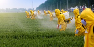Cancer, Parkinson : l’Inserm établit des liens entre l’exposition aux pesticides et six maladies graves