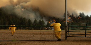 Le changement climatique favorise les incendies estivaux