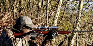 EELLV appelle à mieux réglementer la chasse