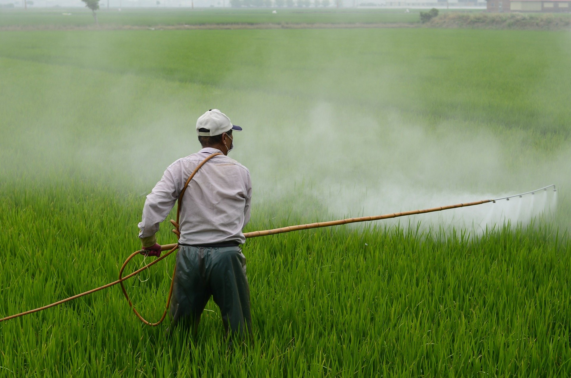 Le ministre de l’Agriculture a-t-il caché un rapport sur les pesticides ?