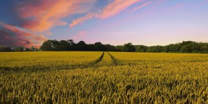 SIA 2022 : Les chiffres clés de l’agriculture française