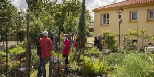 Les jardins face au changement climatique, célébrés ce printemps